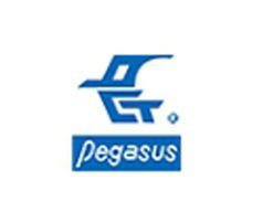 pegasus